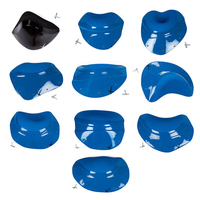 eXpression Foxes 21-30