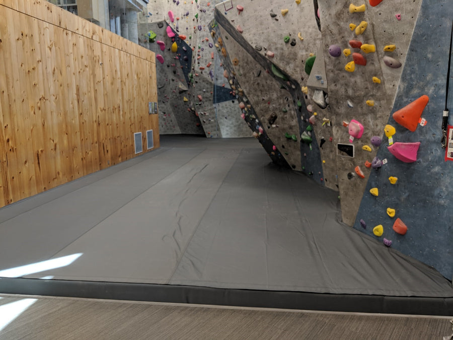 University of MN - Minneapolis Campus project image 2